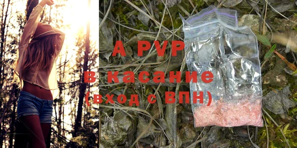 стаф Костерёво