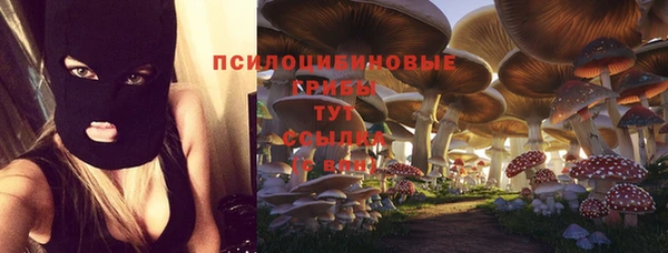 гашиш Коряжма
