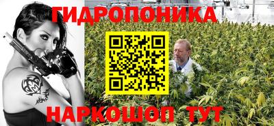 apvp Гатчина