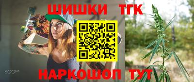 apvp Гатчина