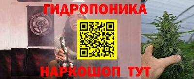 apvp Гатчина