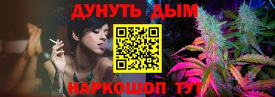 apvp Гатчина