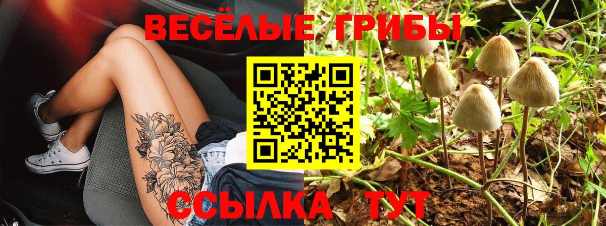 Галлюциногенные грибы Psilocybe  Галлюциногенные грибы мухоморы  Иваново 