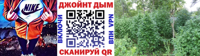 Каннабис сатива  Иваново 